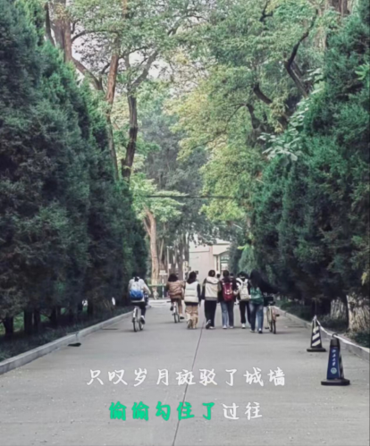 微信图片_20240929015943.png